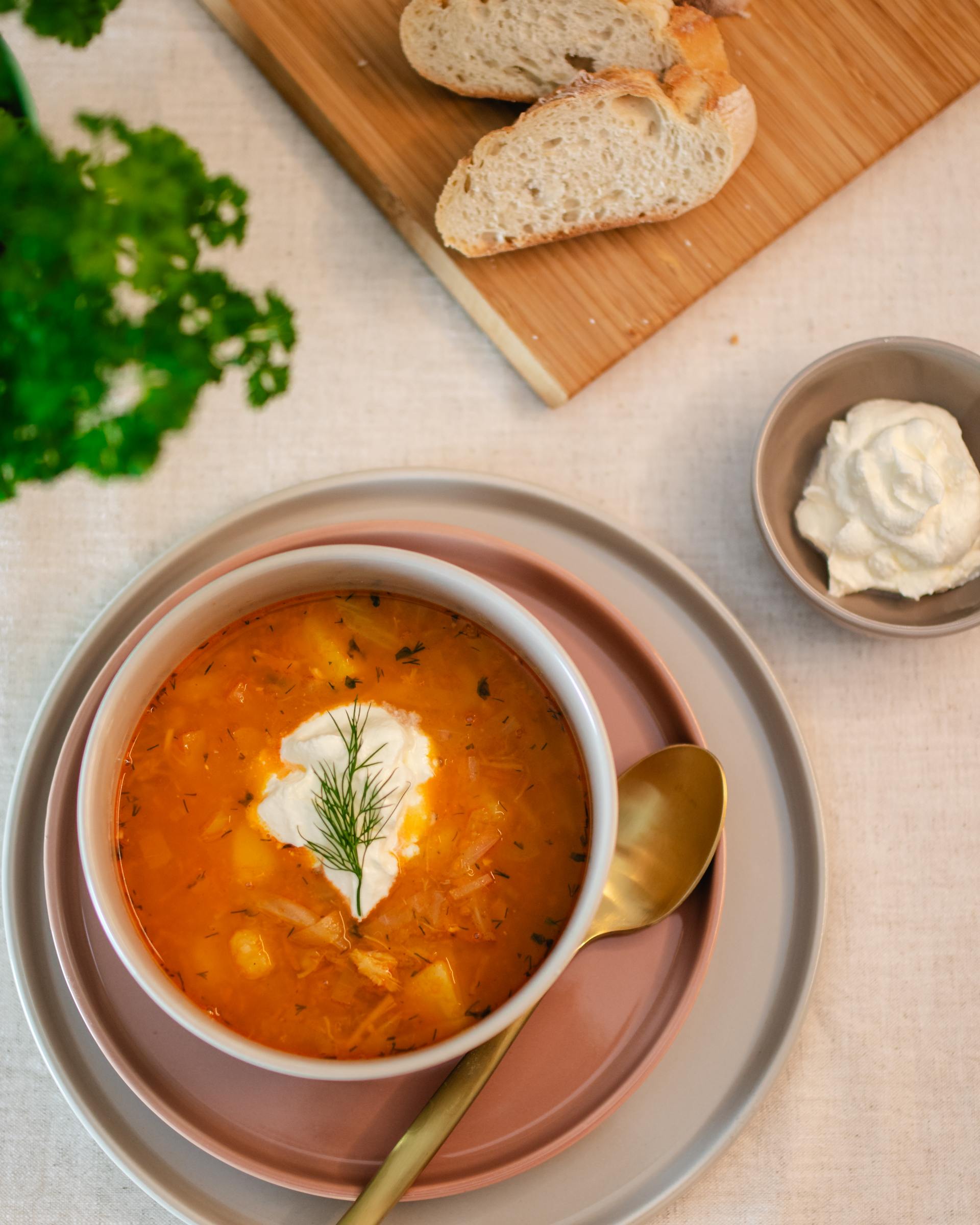 Borsch auf meine Art - TashaLoves
